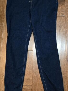 Time and Tru Dark Indigo Stretch Jeggings